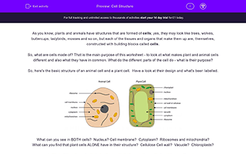 year 7 science worksheets topic revision tests with answers