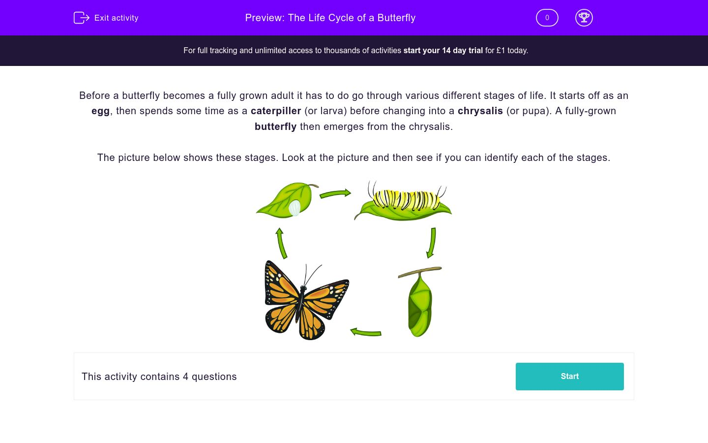 Butterfly Life Cycle Worksheet 2