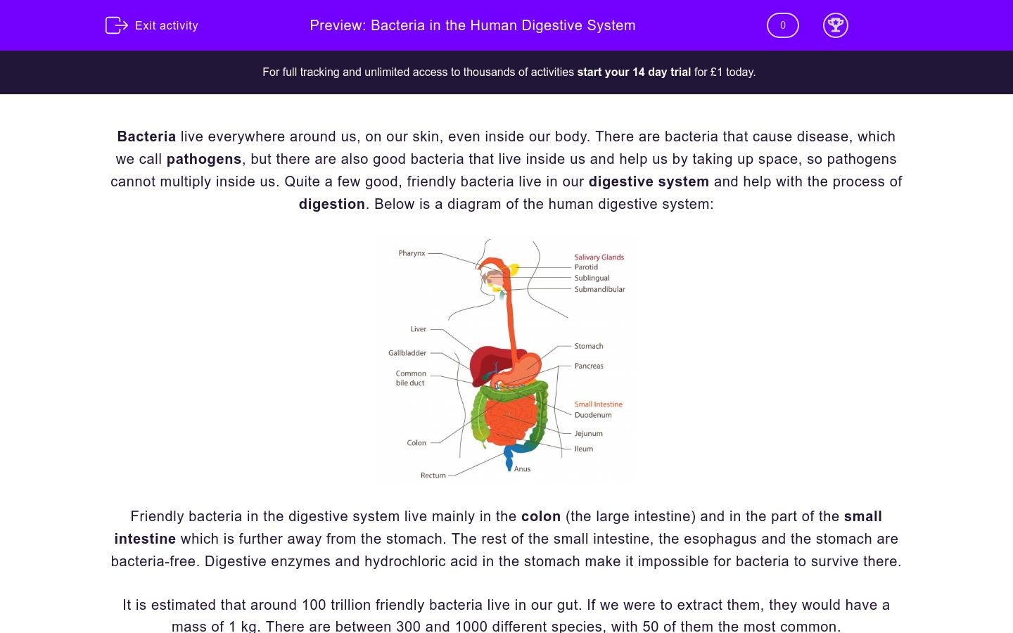 Bacteria in the Human Digestive System Worksheet - EdPlace