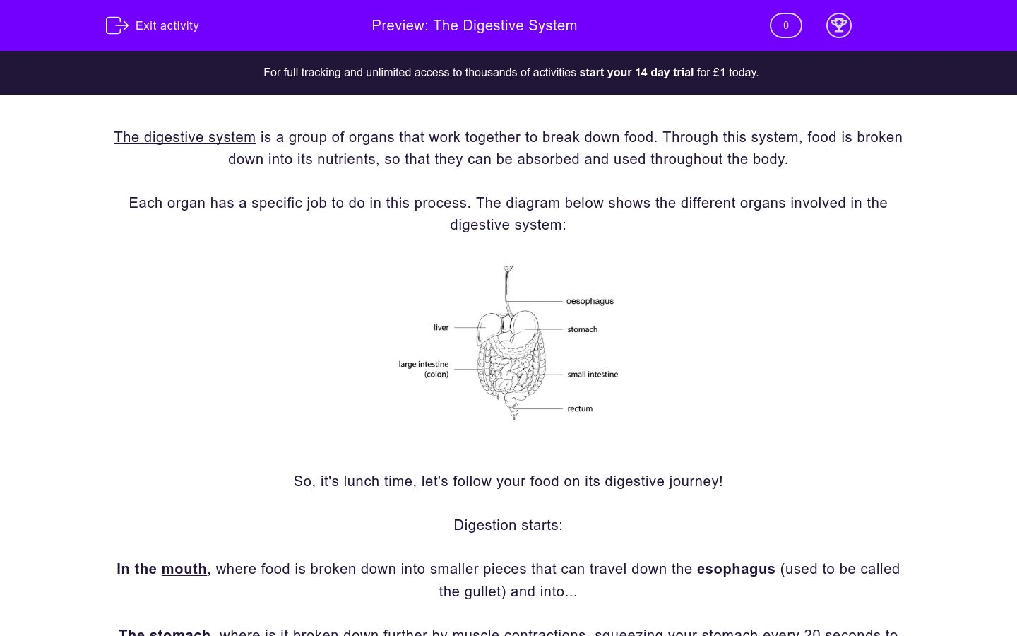 The Digestive System Worksheet Edplace