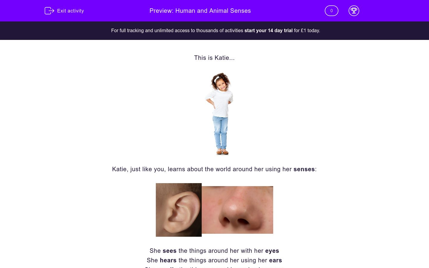 Human and Animal Senses Worksheet - EdPlace
