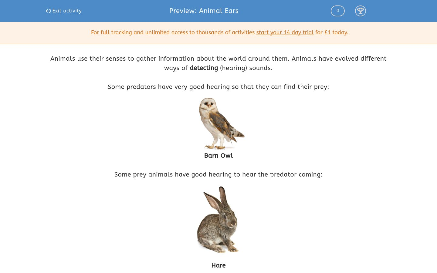 ears animal worksheet EdPlace  Animal Ears Worksheet