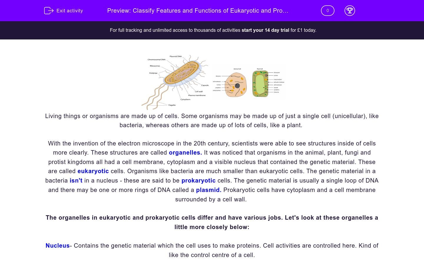 Classify Features and Functions of Eukaryotic and Prokaryotic Cells