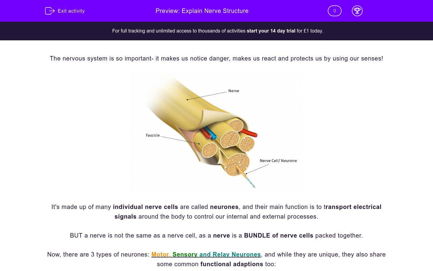 The Anatomy Of A Nerve Impulse Worksheet The Anatomy Of A Nerve Impulse Worksheet