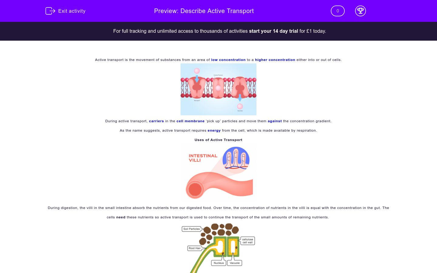 Describe Active Transport Worksheet - EdPlace