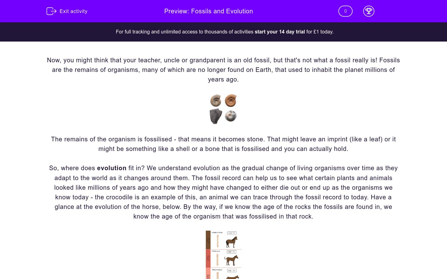 Fossils and Evolution Worksheet - EdPlace