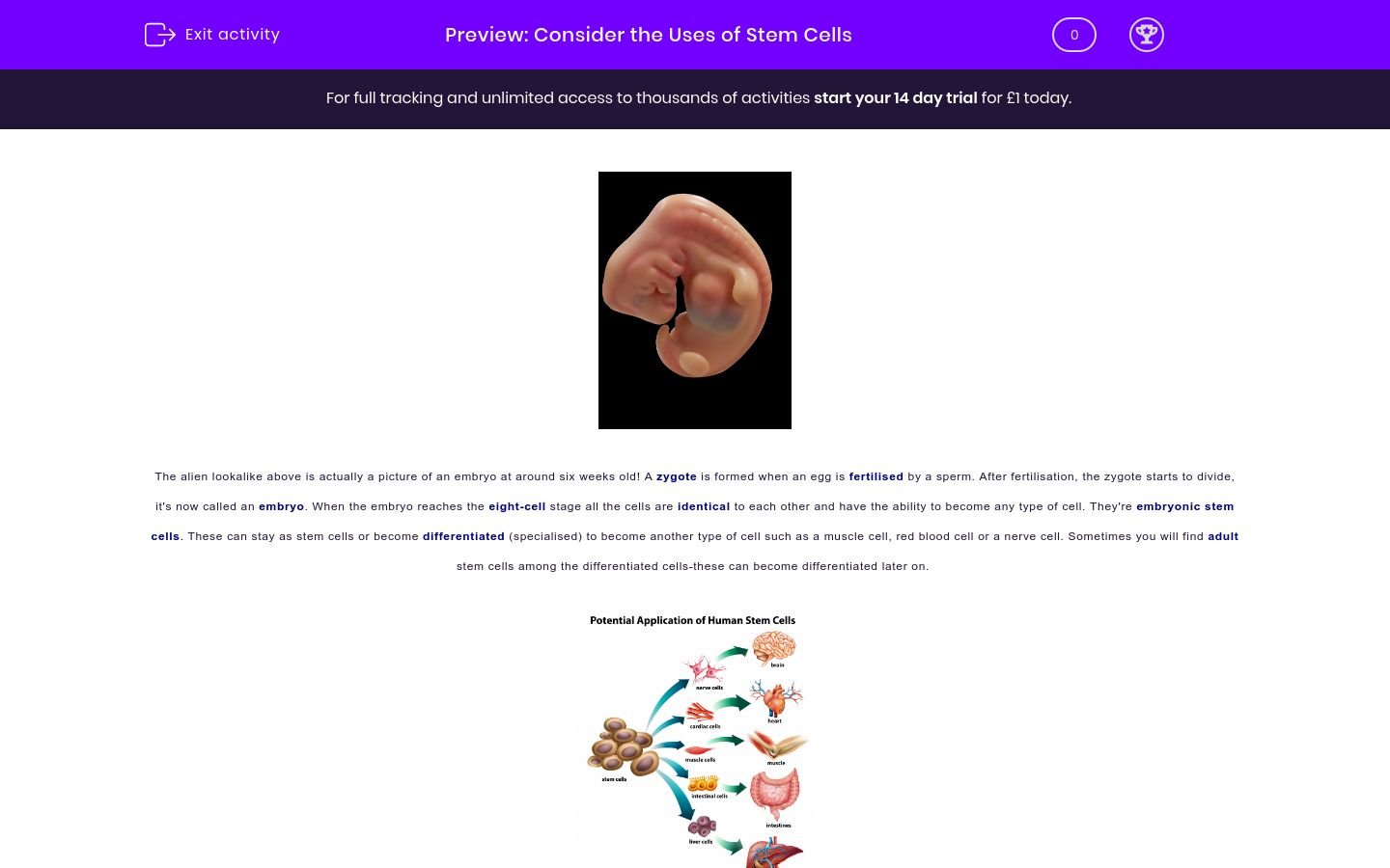 Consider the Uses of Stem Cells Worksheet - EdPlace