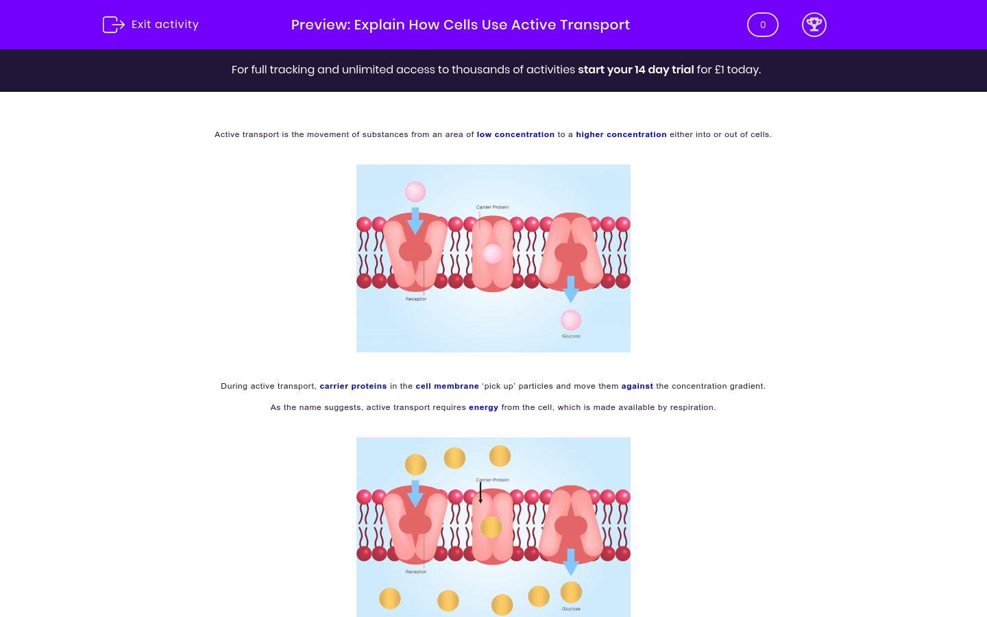 Transport In Cells Worksheet