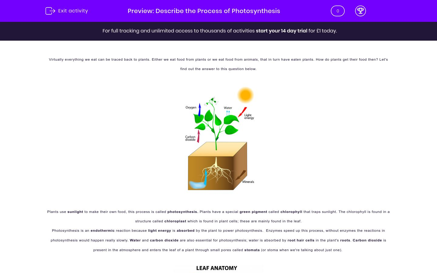 Describe the Process of Photosynthesis Worksheet - EdPlace