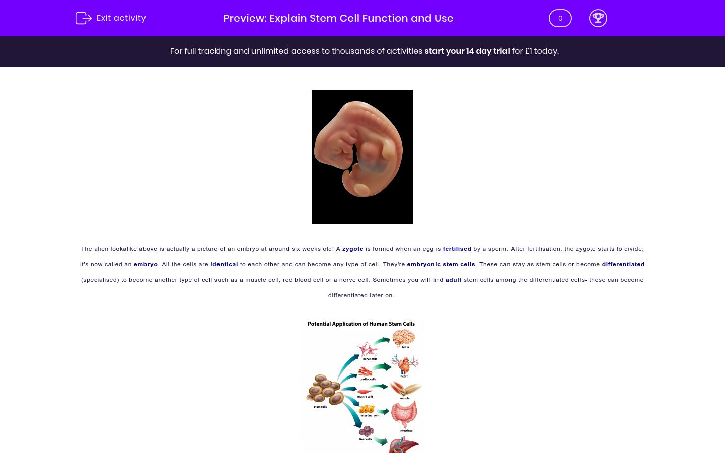 Explain the Functions and Uses of Stem Cells Worksheet - EdPlace