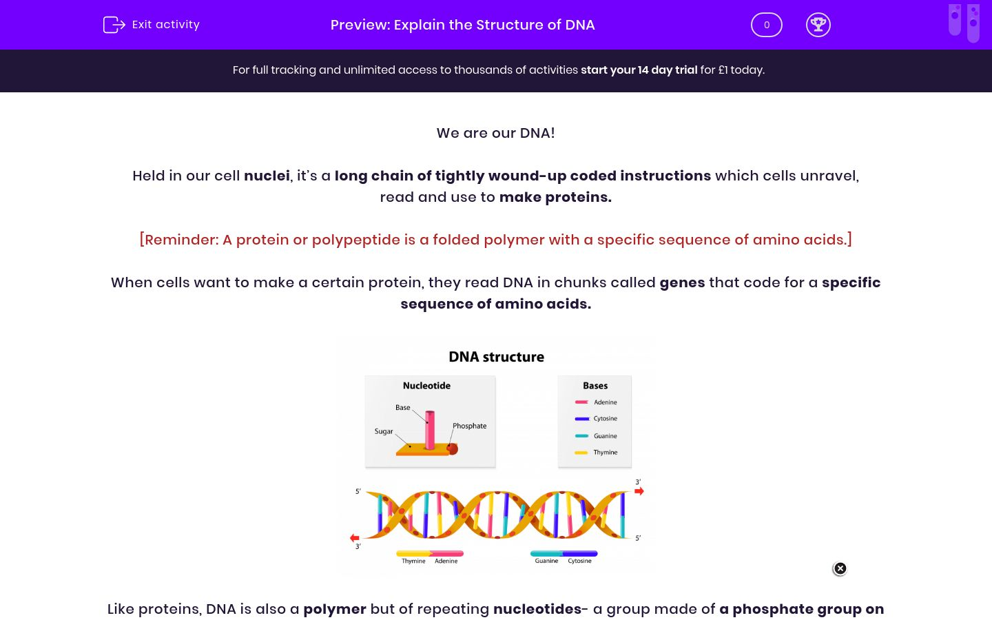 Explain the Structure of DNA Worksheet - EdPlace