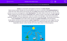 'The Carbon Cycle' worksheet