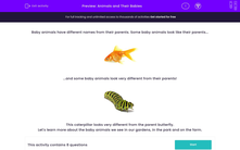 'Animals and Their Babies' worksheet