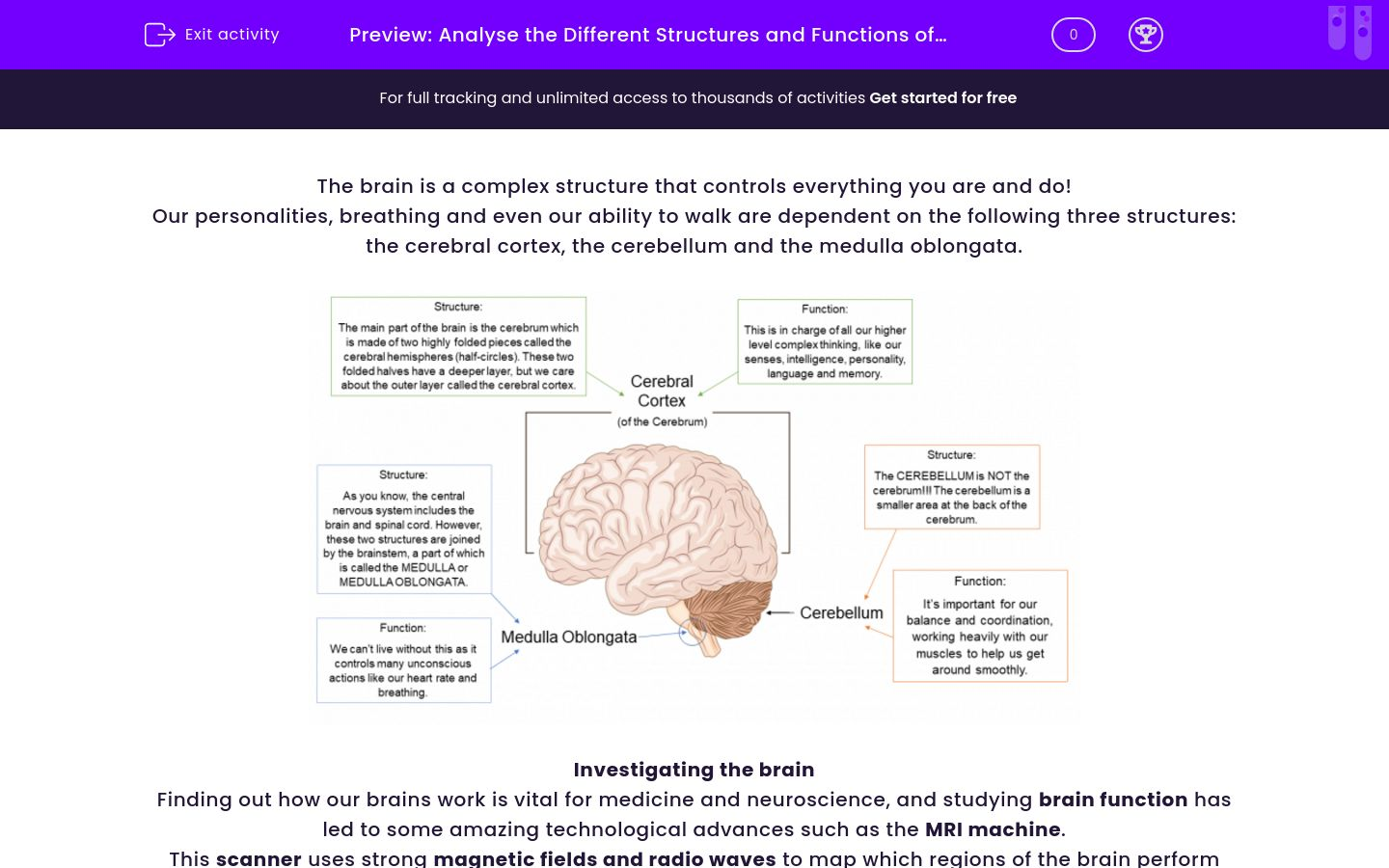 Analyse The Different Structures And Functions Of The Brain Worksheet Analyse The Different Structures And Functions Of The Brain Worksheet