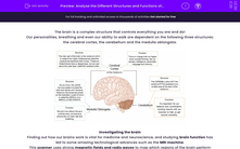 'Analyse the Different Structures and Functions of the Brain' worksheet