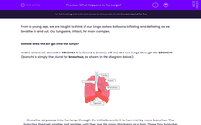 'Explore What Happens in the Lungs' worksheet