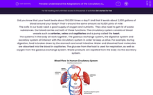 'Understand the Adaptations of the Circulatory System' worksheet