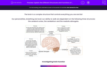 'Explain the Different Structures and Functions of the Brain' worksheet