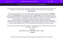 'Understand Photosynthesis' worksheet