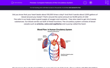 'Compare Features of the Circulatory System' worksheet