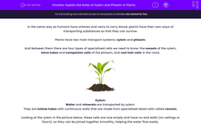 'Explain the Roles of Xylem and Phloem in Plants' worksheet