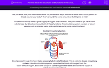 'Recall the Structures and Functions of the Circulatory System' worksheet