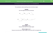 'Sort the Angles: Acute or Obtuse' worksheet