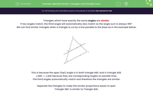 'Identify Similar Triangles and Parallel Lines' worksheet