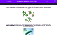 'Explore the Role of the Immune System' worksheet