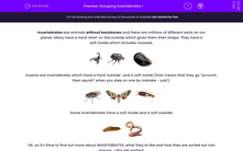 'Grouping Invertebrates 1' worksheet