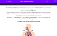 'Describe the respiratory system' worksheet