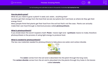 'Explain how plants grow' worksheet