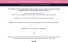 'Sort the Angles: Accute or Obtuse' worksheet