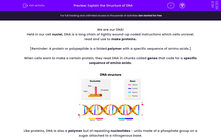 'Explain the Structure of DNA' worksheet