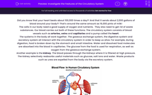 'Investigate the Features of the Circulatory System' worksheet