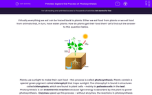 'Explore the Process of Photosynthesis' worksheet