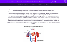 'Understand the Main Structures and Functions of the Circulatory System' worksheet