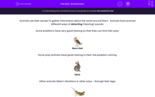 'Animal Ears' worksheet