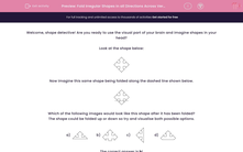 'Fold Irregular Shapes in all Directions Across Vertical, Horizontal and Diagonal Fold Lines 1' worksheet
