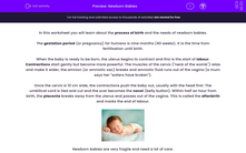 'Describe the Process of Birth and the Needs of Newborn Babies' worksheet