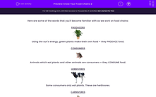 'Find Out About Food Chains' worksheet