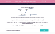 'Angles in Triangles and on Parallel Lines (2)' worksheet