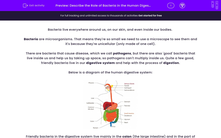'Describe the Role of Bacteria in the Human Digestive System' worksheet