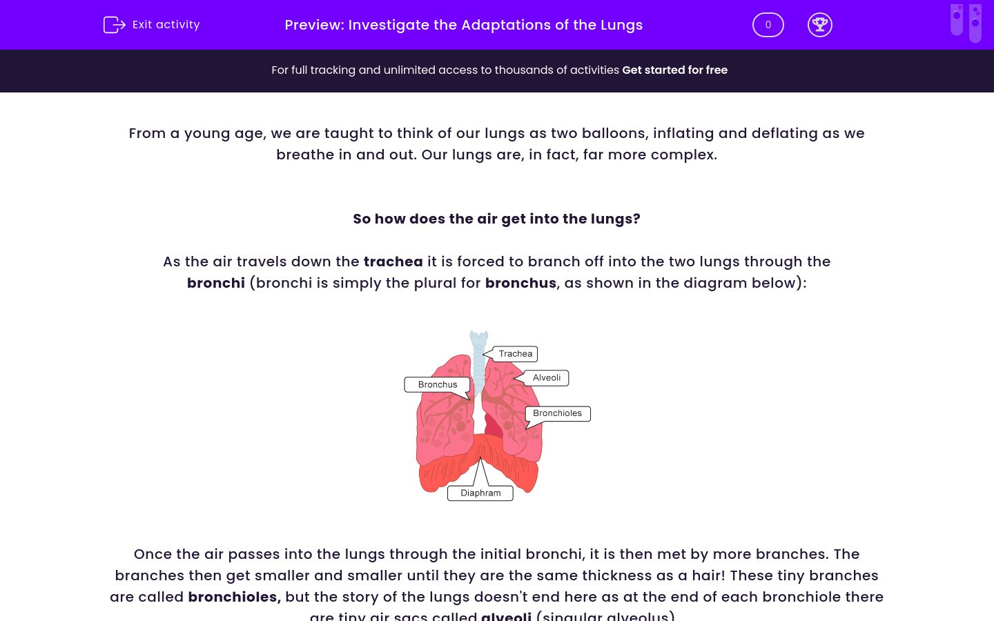 Investigate the Adaptations of the Lungs Worksheet EdPlace