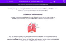 'Investigate the Adaptations of the Lungs' worksheet