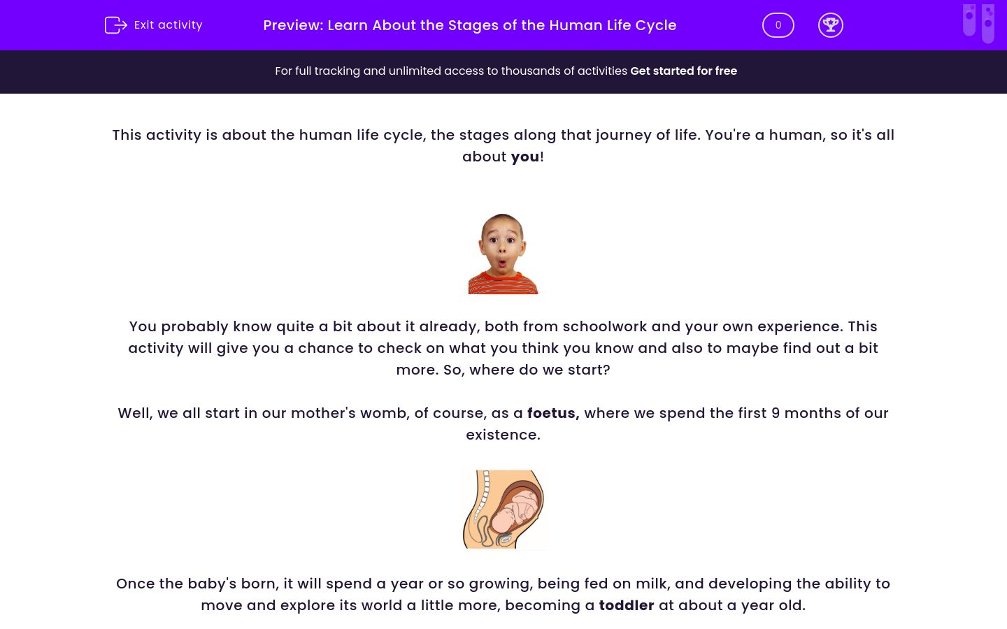 Learn About the Stages of the Human Life Cycle Worksheet - EdPlace