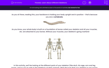 'Learn About Different Skeletons' worksheet