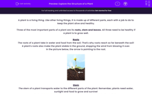 'Explore the Structure of a Plant' worksheet