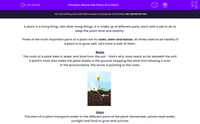 'Name the Parts of a Plant' worksheet