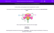 'Describe How a Plant Reproduces' worksheet